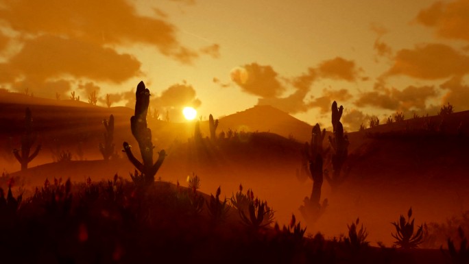 沙漠中的萨瓜罗仙人掌在美丽的晨曦下