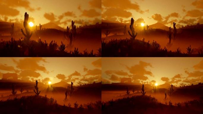 沙漠中的萨瓜罗仙人掌在美丽的晨曦下