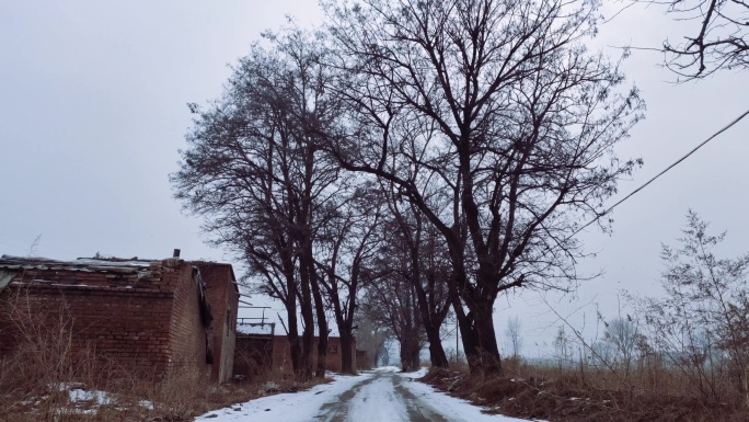 老家冬天雪后的村口