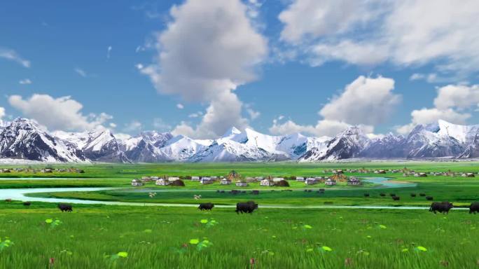 大屏背景视频牧人雪山草原牦牛帐篷
