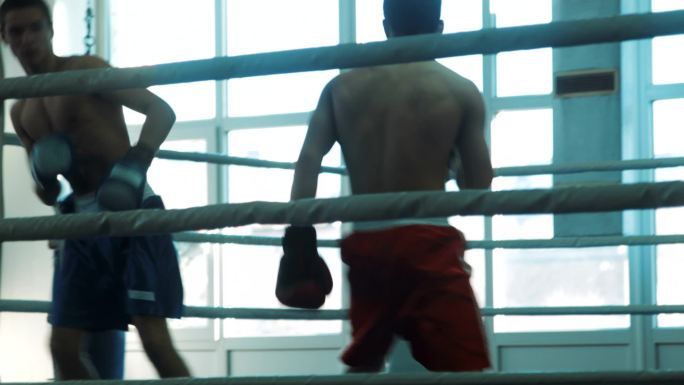 两名拳击手在一个拳击台上训练拳击