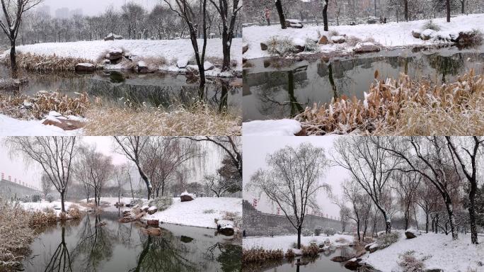 小河边雪景合集1