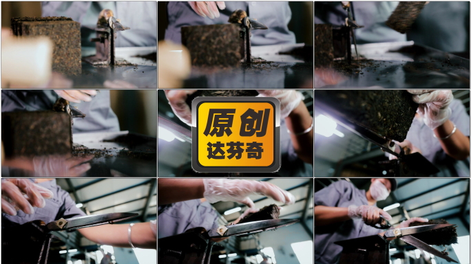 泾阳茯茶工厂生产线工人加工茯砖手工整形