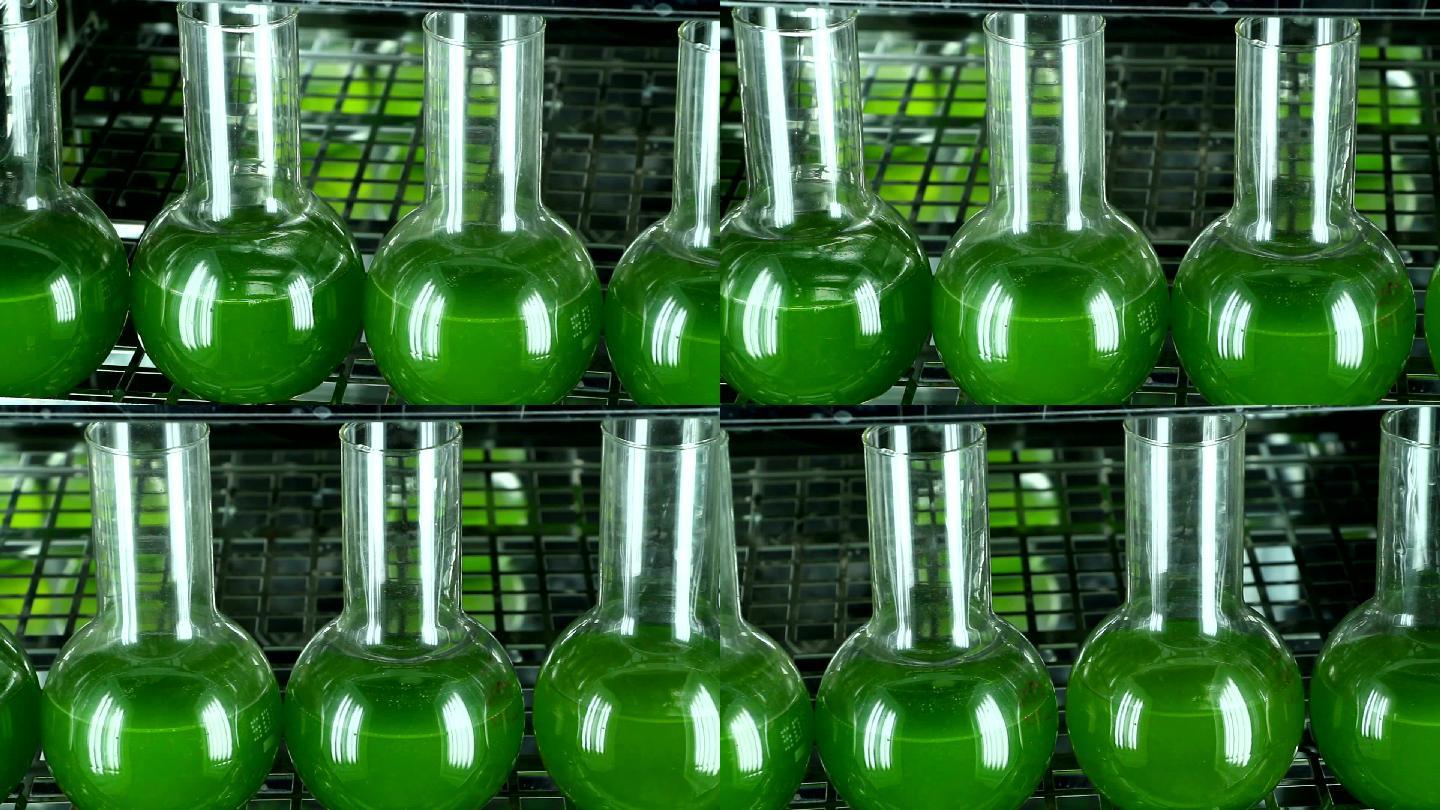 绿色微藻容器