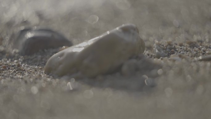 海边 沙滩 船  海鸥 日落 海浪