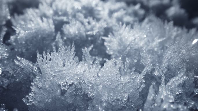 积雪。雪晶、雪花冰晶