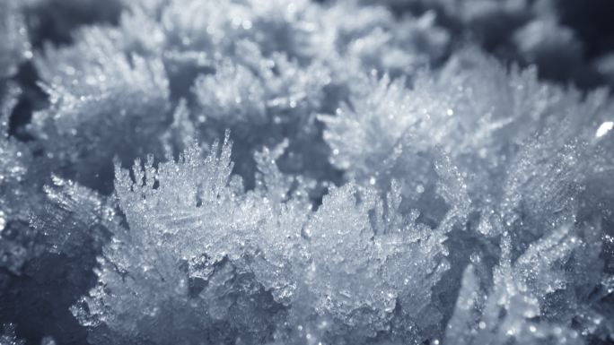 积雪。雪晶、雪花冰晶