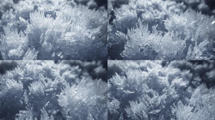 积雪。雪晶、雪花冰晶