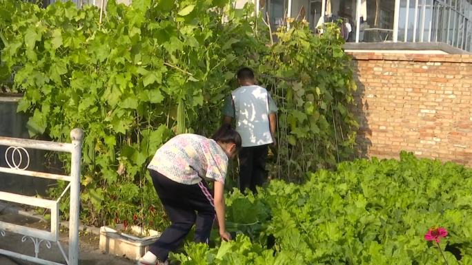 农村姐弟俩在菜园里玩耍摘菜