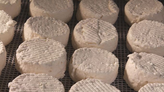 传统的法国山羊奶酪正在制作中