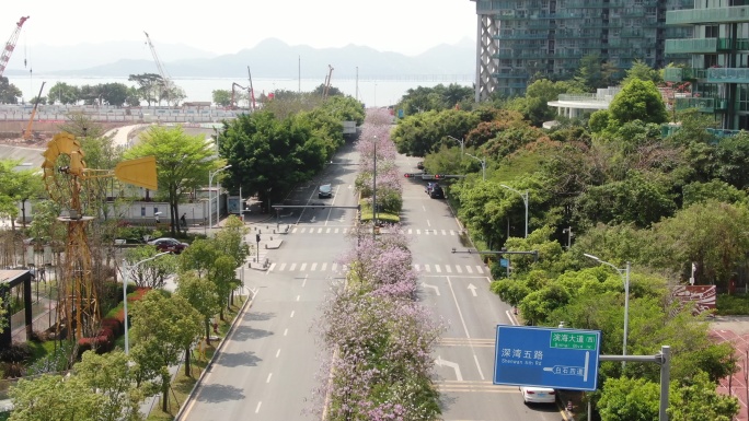 航拍城市大道鲜花盛开