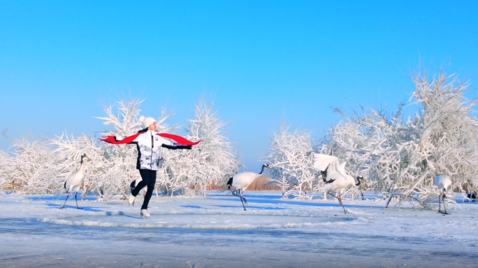 冬奥冰雪体育素材丹顶鹤