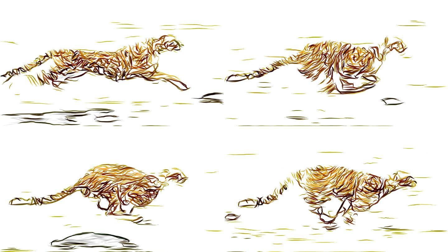 猎豹跑步炫酷动态抽象猎豹本怕豹子动画豹子