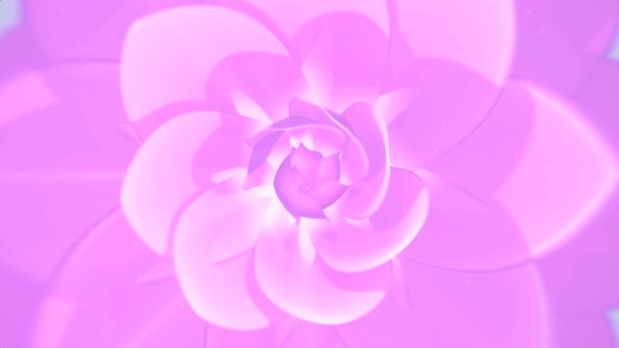粉红花背景高清视频素材