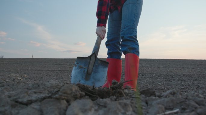 穿着红色橡胶靴的农民用铲子挖土