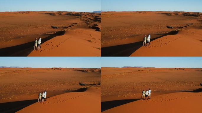 游客站在沙丘上观看风景秀丽的沙漠
