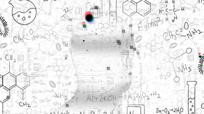 人体化学结构和配方