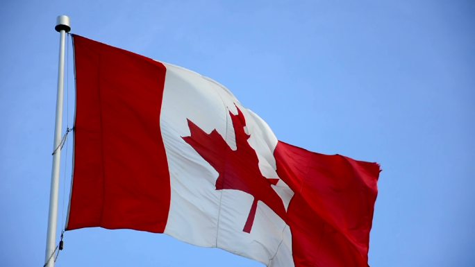 鲜艳的蓝天上悬挂着加拿大国旗