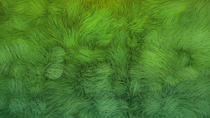 抽象绿色海草俯拍绿色植物光影意境艺术环保