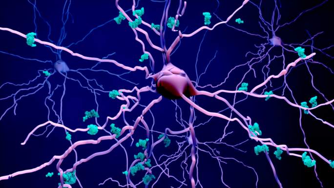 神经元神经细胞病毒入侵细菌