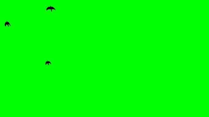绿色屏幕上的鸟群