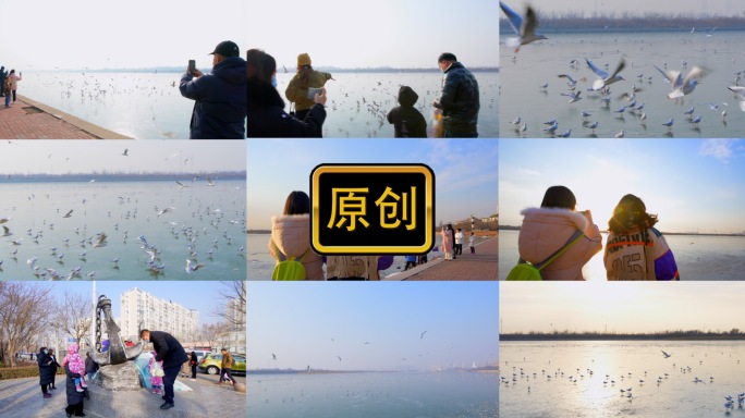 天津冬季海边海鸥游客