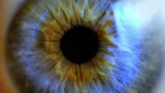 人眼虹膜收缩。