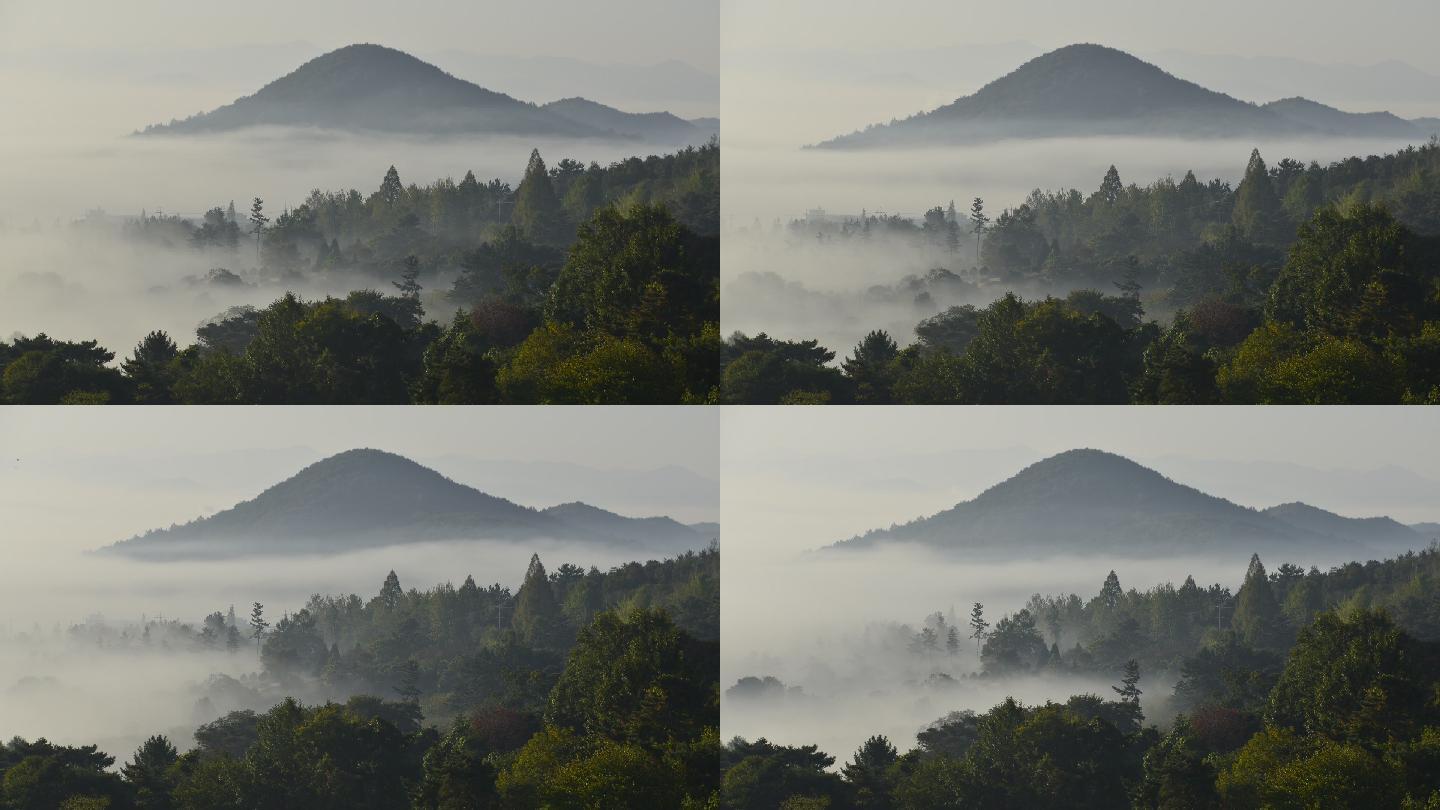雾蒙蒙的早晨生态系统山丘