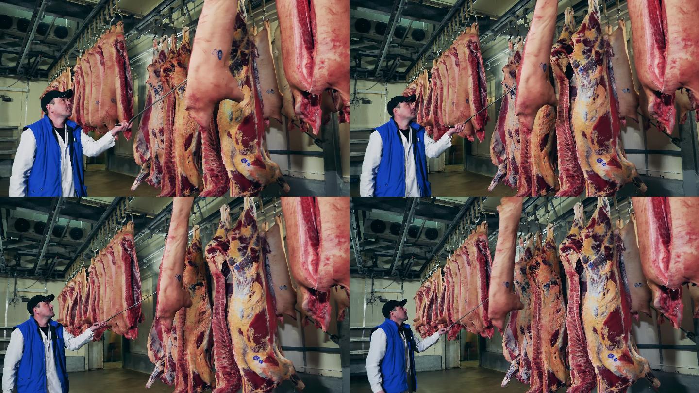 肉类加工厂国外外国食品安全卫生宰杀