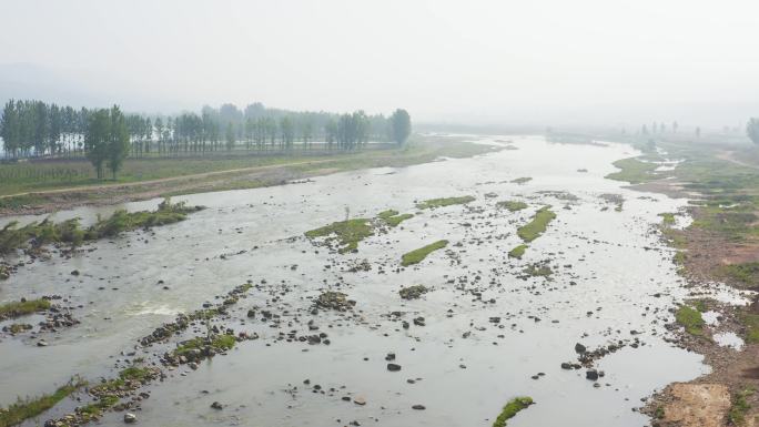 河流洛河航拍湿地周边青山绿水树林林木11