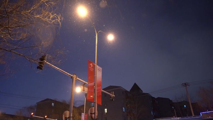 冬奥会北京下雪街道夜景升格
