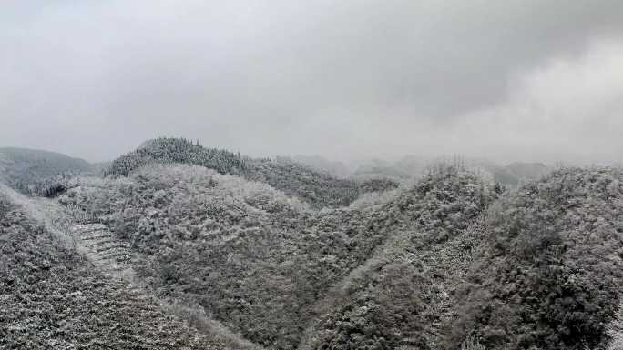 大雪封山  大山雪景