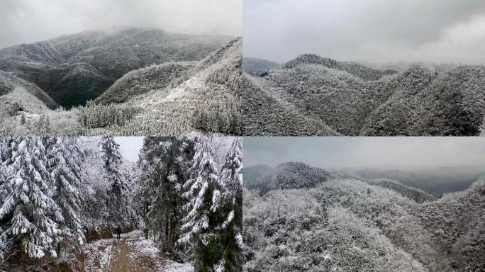 大雪封山  大山雪景