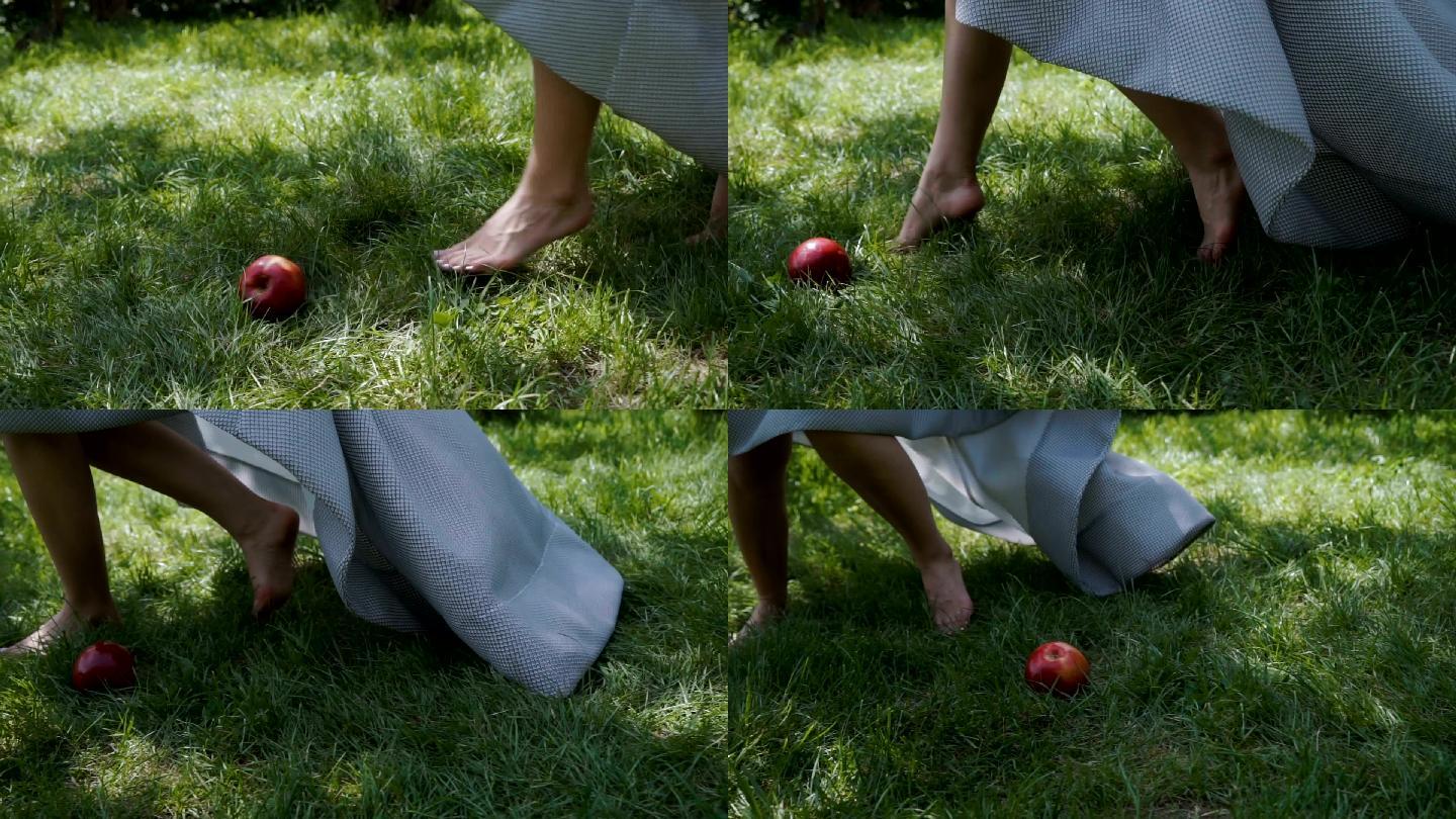 白雪公主从草地上捡起苹果