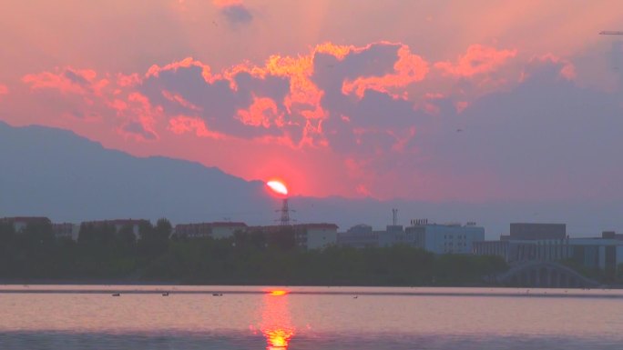 城市落日晚霞湿地公园生态城市候鸟夕阳红