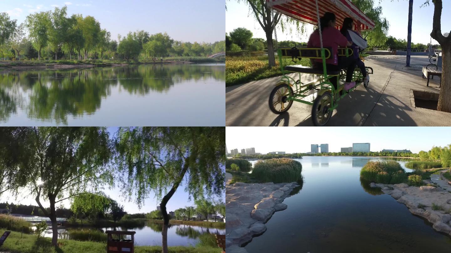 金昌市金水湖湿地公园生态城市绿色人工湖