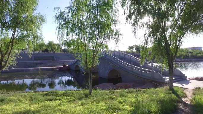 金昌金水湖城市湿地公园生态绿色野鸭子