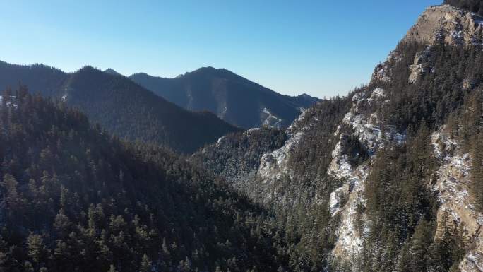 贺兰山 冬季 悬崖峭壁 原始森林  冬季