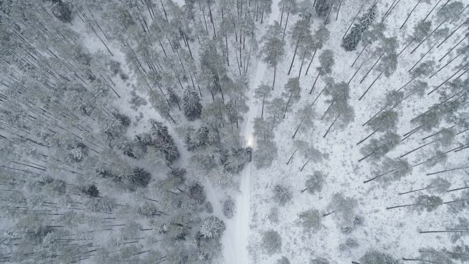 冬季森林中的汽车冬季雪花下雪雾凇风景