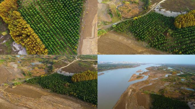 渭河流域生态治理