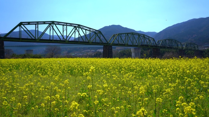 日本德岛县三好市的风景