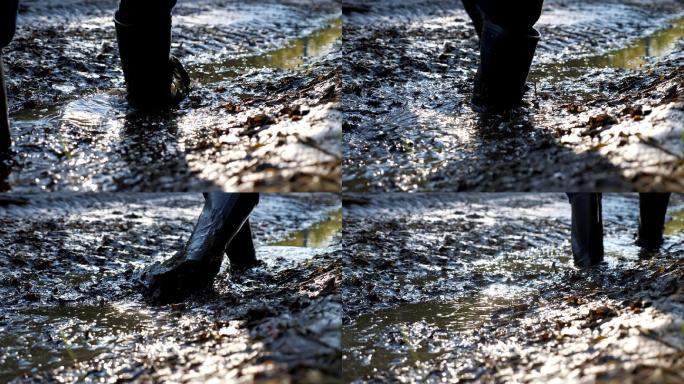 一名男子穿着橡胶靴在沼泽地行走的特写镜头