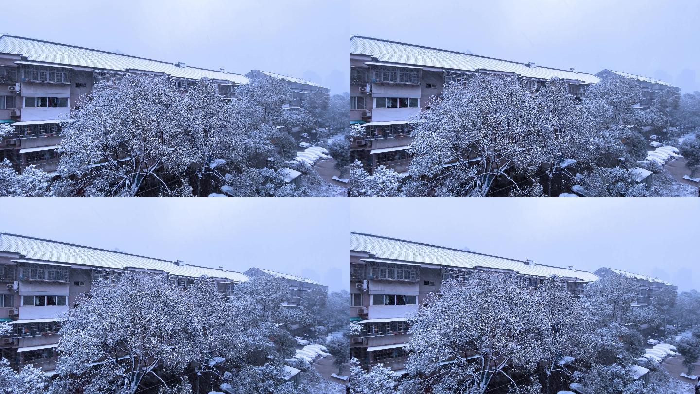 冬日雪景4K