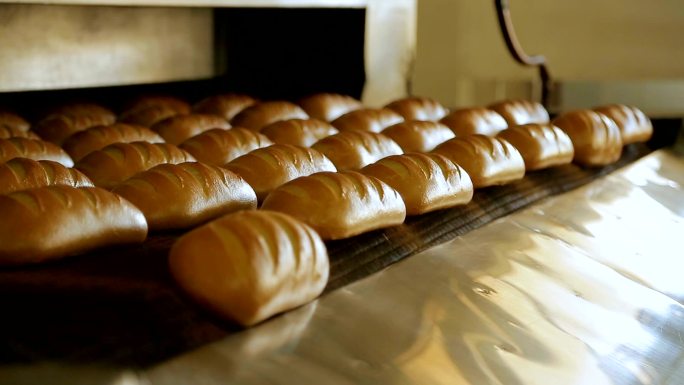 面包烘焙食品厂