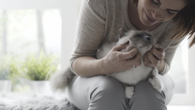 一个女人抱着她可爱的猫，在膝盖上抚摸它