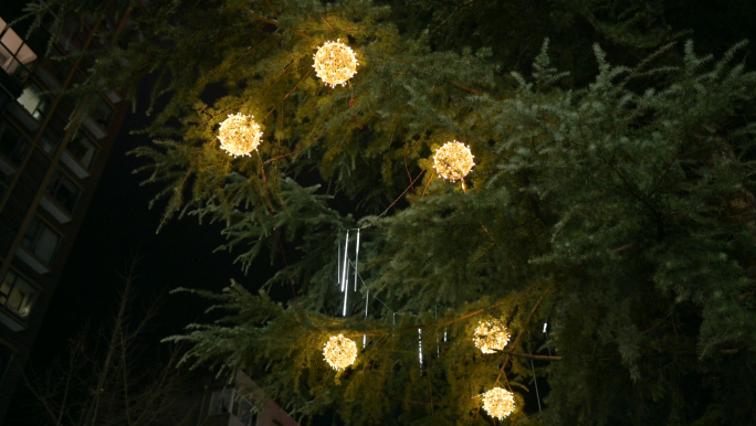 夜色街道绿化树上的灯光