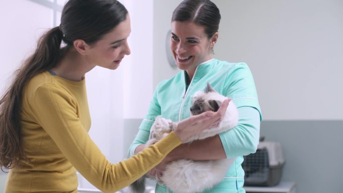 兽医和主人在诊所拥抱一只猫