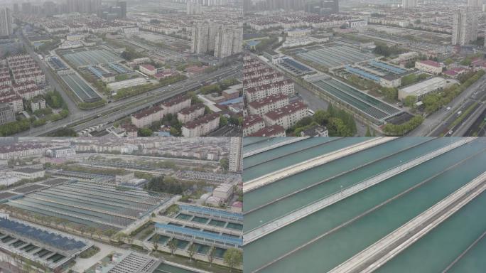 4K-Log-航拍上海长桥水厂