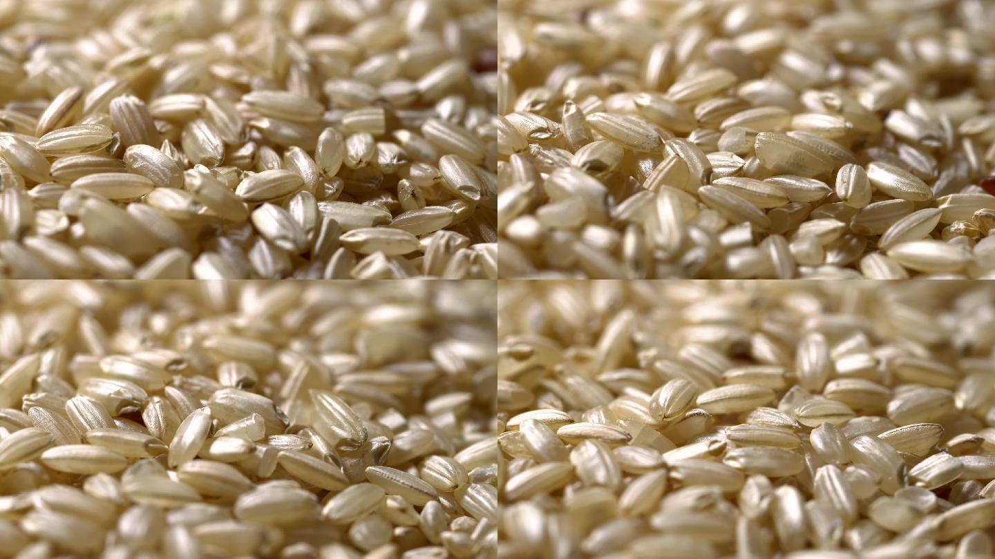 糙米。