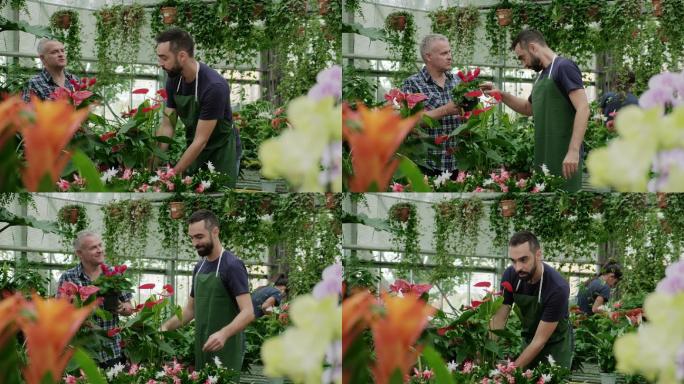 销售经理在花店与购买植物的客户交谈